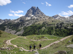 img4